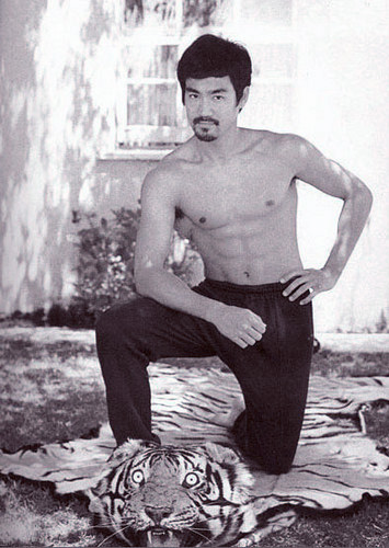 Bruce Lee The Man with goatee chilling on tiger rug