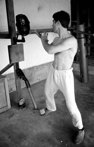 bruce lee training equipment bruce lee gear punch sparring shadow boxing